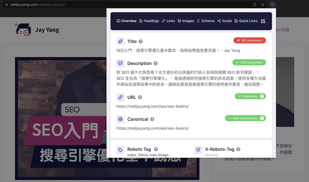 Detailed SEO 使用畫面